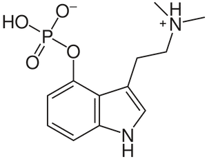 What Kind of a Drug is Psilocybin