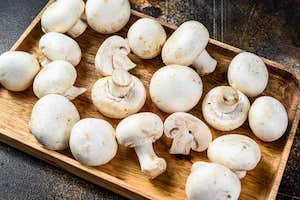 Quit Smoking with Mushrooms - boring old mushrooms