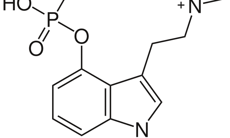 Can You Develop Psilocybin Tolerance