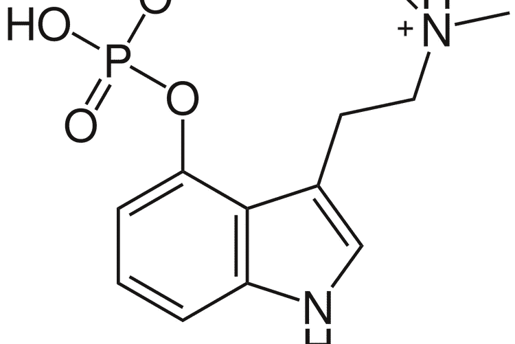 Can You Develop Psilocybin Tolerance