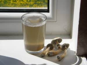 How To Make Magic Mushroom Tea