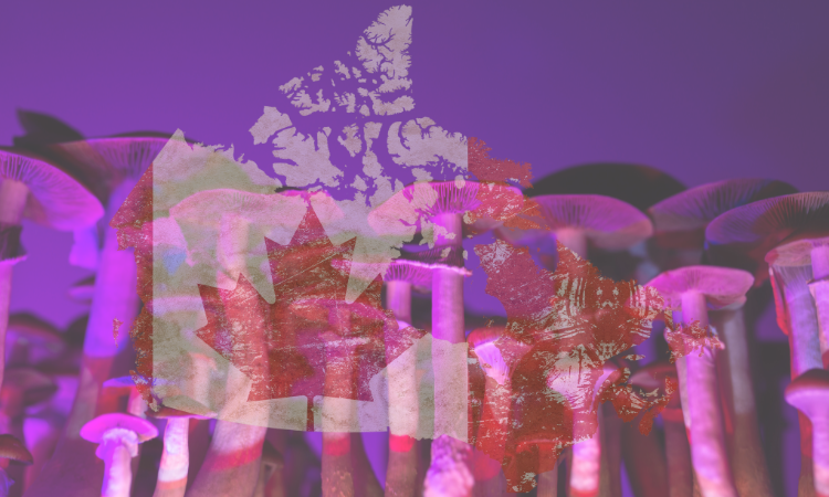 Are psychedelics legal in Canada?