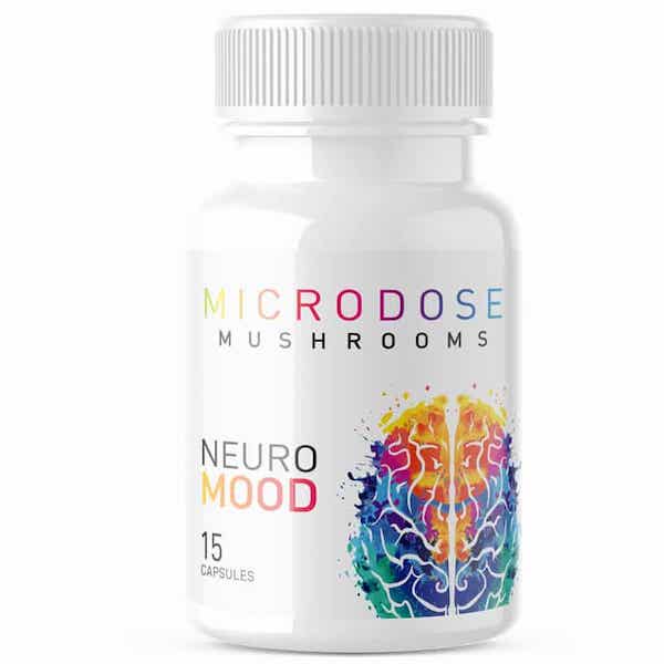 Microdose Mushrooms Neuro Mood