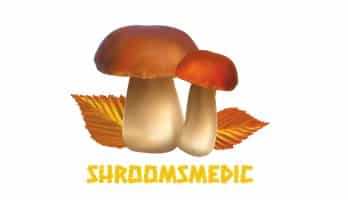 ShroomsMedic