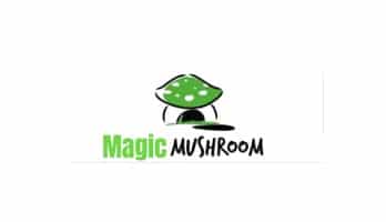 Supreme Magic Mushrooms