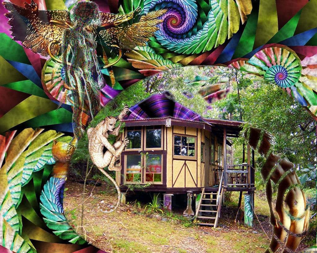 Psychedelics mental wellness: Where are Psychedelics Decriminalized