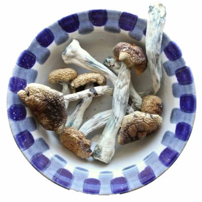 Amazon Magic Mushrooms sold by Blue Goba