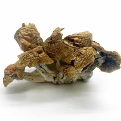 Wollongong Hulu from Microdose Mushrooms