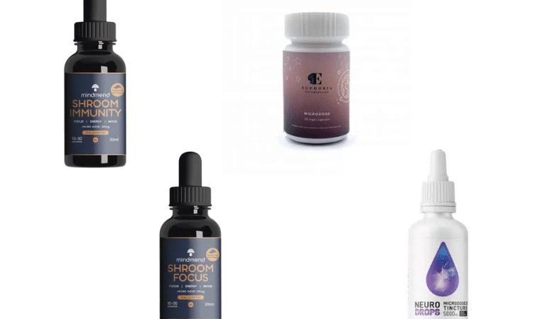 Microdosing Products: Guide to Mushroom Products