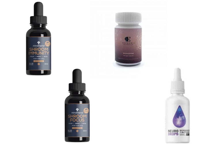 Microdosing Products: Guide to Mushroom Products