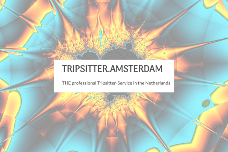 Mark de Jong of Tripsitter.Amsterdam