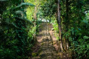 How to find top rated Ayahuasca retreats in Colombia