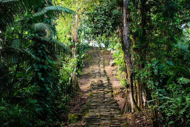 How to find top rated Ayahuasca retreats in Colombia