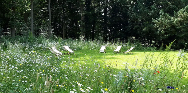 Outdoor space at Beckley Retreats, a psilocybin retreat in the Netherlands.