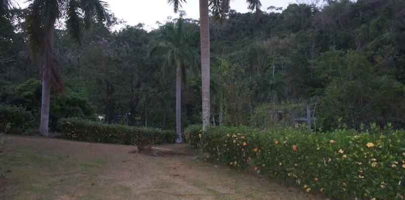 The grounds at Divina Vida Cacao Retreat in San Gerardo, Puntarenas, Costa Rica