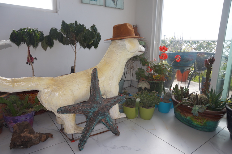 Plants in the common room at Experience Ibogaine Addiction Treatment Center Tijuana Mexico