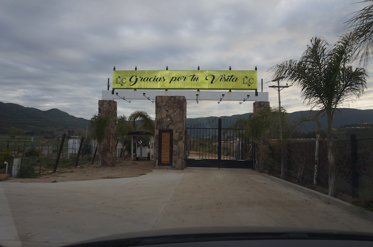Entrance to Iboga Protocol Ibogaine Retreat in Ensenada Mexico.