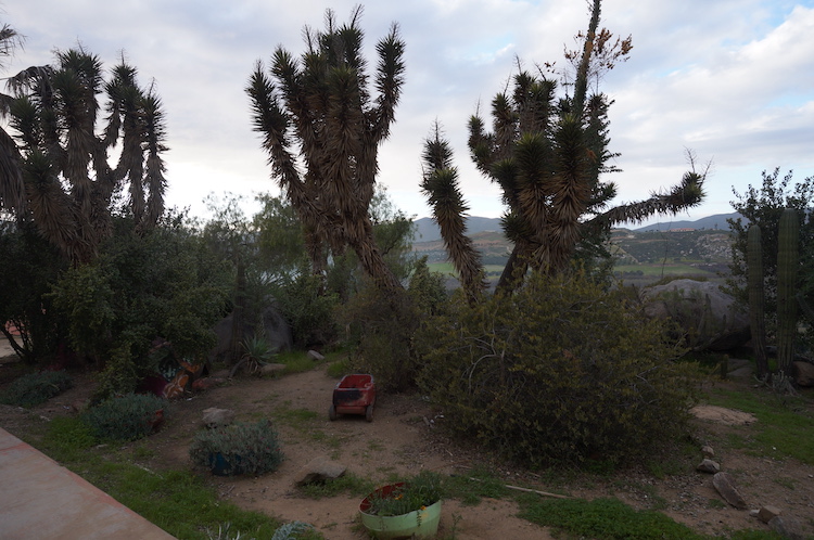 The scenery from Iboga Protocol Ibogaine Retreat in Ensenada Mexico.