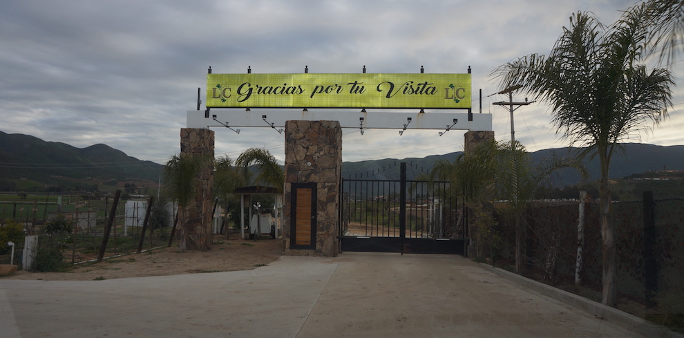 The entrance of Iboga Protocol Ibogaine Retreat in Ensenada, Mexico