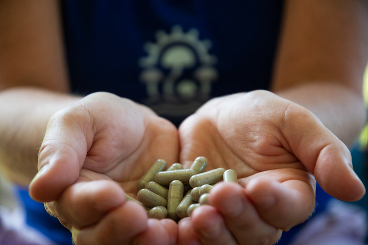 Mushroom capsules MycoMeditations Psilocybin Mushroom Retreat in Treasure Beach, Jamaica