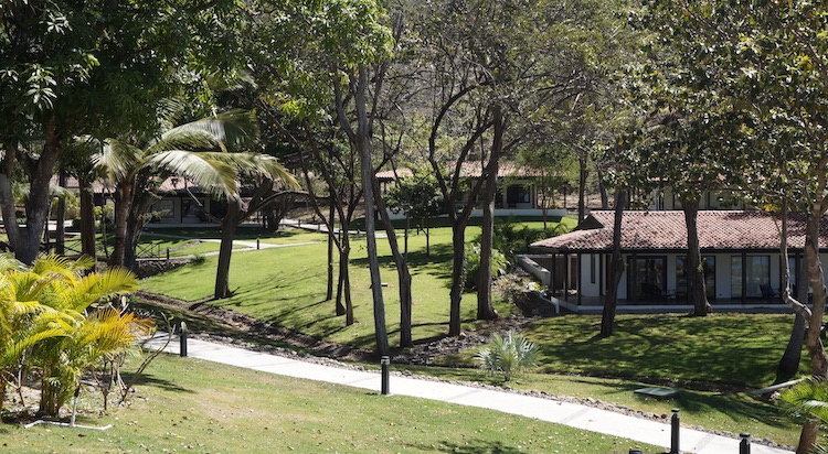 The Grounds at Reunion Retreat Center Psilocybin Tamarindo Guanacaste Costa Rica