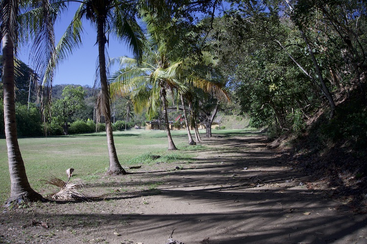 The grounds at SoulCentro Iboga Retreat in Bahia Gigante, Puntarenas, Costa Rica