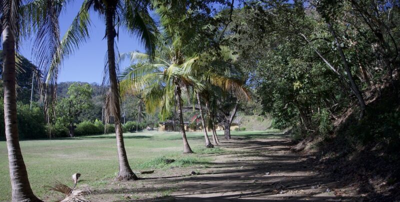 The grounds at SoulCentro Iboga Retreat in Bahia Gigante, Puntarenas, Costa Rica