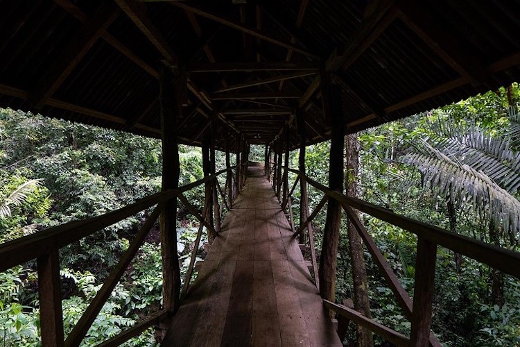 Soltara Healing Center Ayahuasca Retreat in Peru