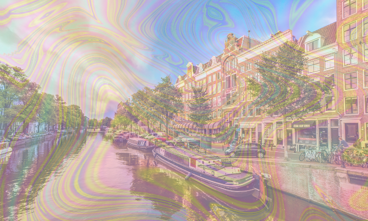 Looking for the best psilocybin retreats in Amsterdam? Frshminds can help you find them.