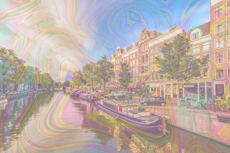 Looking for the best psilocybin retreats in Amsterdam? Frshminds can help you find them.