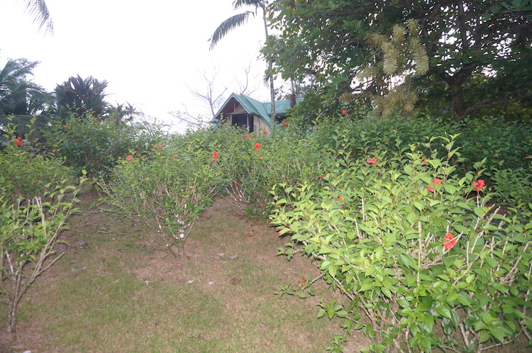 The grounds at Divina Vida Cacao Retreat in San Gerardo, Puntarenas, Costa Rica