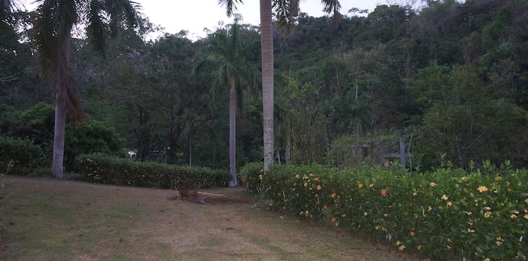 The grounds at at Divina Vida Cacao Retreat in San Gerardo, Puntarenas, Costa Rica