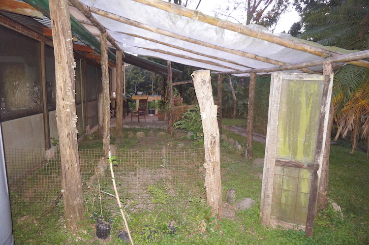 Small garden at Divina Vida Cacao Retreat in San Gerardo, Puntarenas, Costa Rica