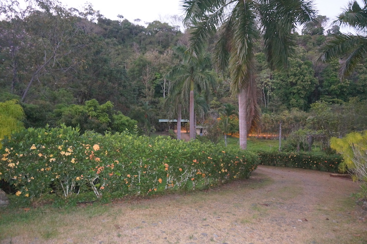 The grounds at Divina Vida Cacao Retreat in San Gerardo, Puntarenas, Costa Rica.