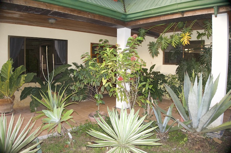 Plant garden at Divina Vida Cacao Retreat in San Gerardo, Puntarenas, Costa Rica