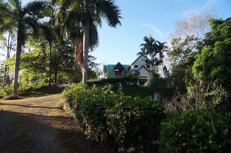 A view of the retreat from down the hill at Divina Vida Cacao Retreat in San Gerardo, Puntarenas, Costa Rica