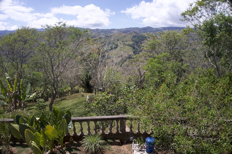view from the retreat at Iboga Wellness Center - San Isidro de El General, San Jose, Costa Rica