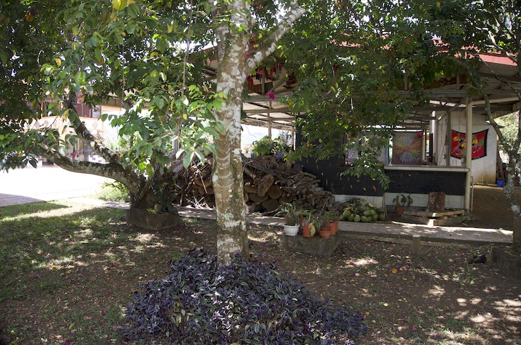 The grounds at Iboga Wellness Center - San Isidro de El General, San Jose, Costa Rica