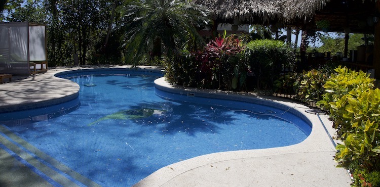 the pool at Kambo Casita Ayahuasca Retreat in Sámara Guanacaste Costa Rica