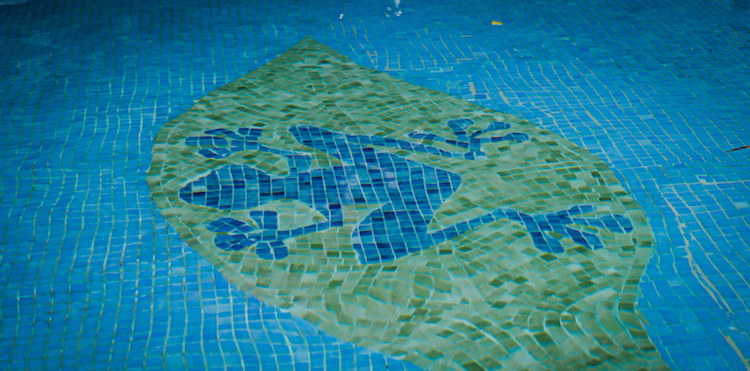The pool at Kambo Casita Ayahuasca Retreat in Sámara Guanacaste Costa Rica