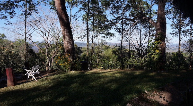 The grounds at Om Jungle Medicine Ayahuasca Retreat in Samara, Guanacaste, Costa Rica
