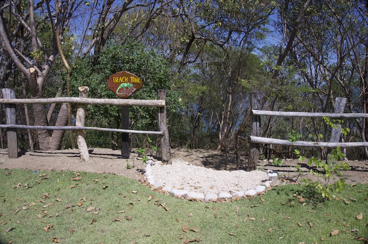 Trail entrance at Soltara Healing Center Ayahuasca Retreat in Paquera, Costa Rica