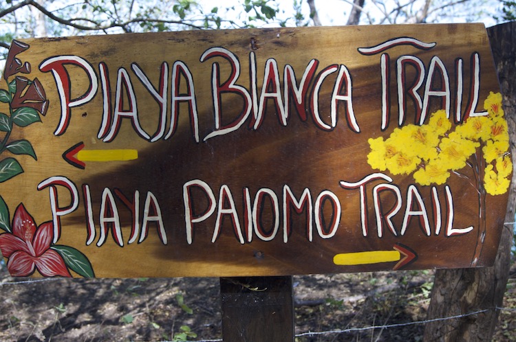 Sign post at Soltara Healing Center Ayahuasca Retreat in Paquera, Costa Rica
