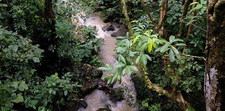 A nearby river at Soltara Healing Center Ayahuasca Retreat in Tarapoto, Peru