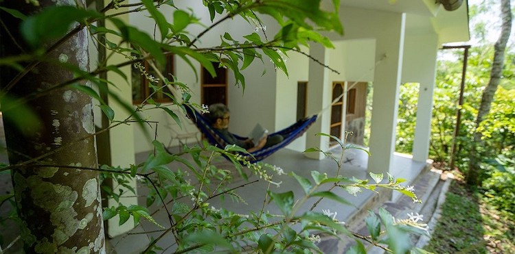 Beautifully appointed rooms with private hammocks right in the jungle at Soltara Healing Center ayahuasca retreat in Tarapoto Peru