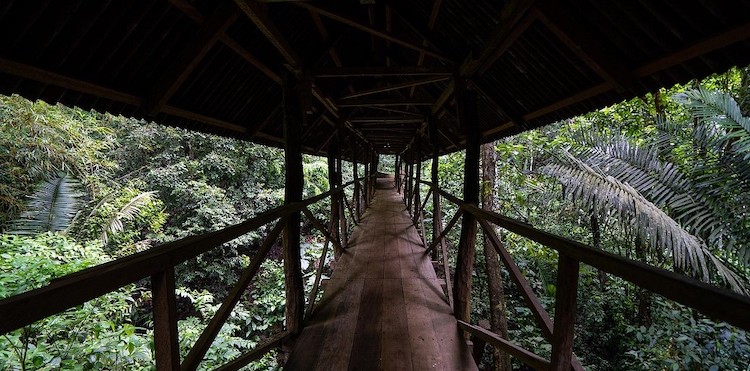 Elevated walkway at Soltara Healing Center ayahuasca retreat in Tarapoto Peru