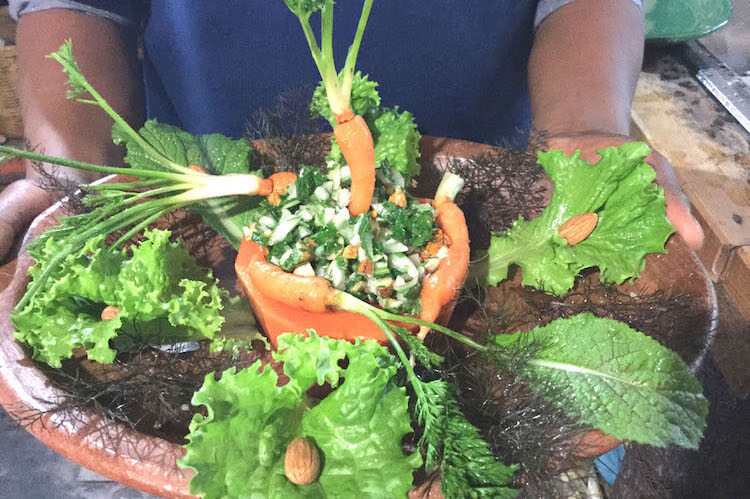 Fresh grown vegetables at Ascension Psilocybin Mushroom Retreat in Oaxaca, Mexico