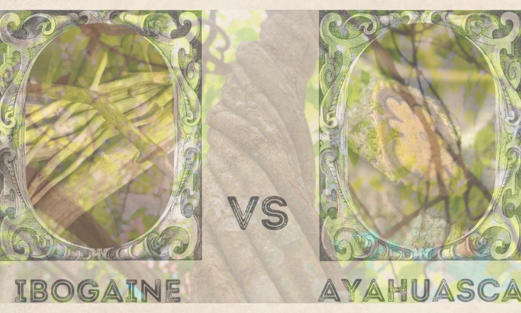 Ayahuasca vs. Ibogaine