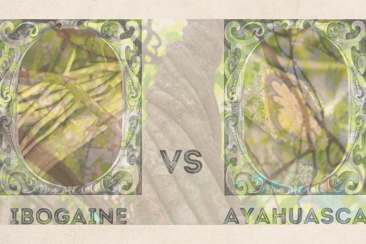 Ayahuasca vs. Ibogaine