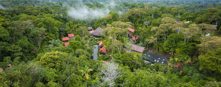 An overview of Temple of the Way of Light Ayahuasca Retreat in Iquitos, Loreto, Peru